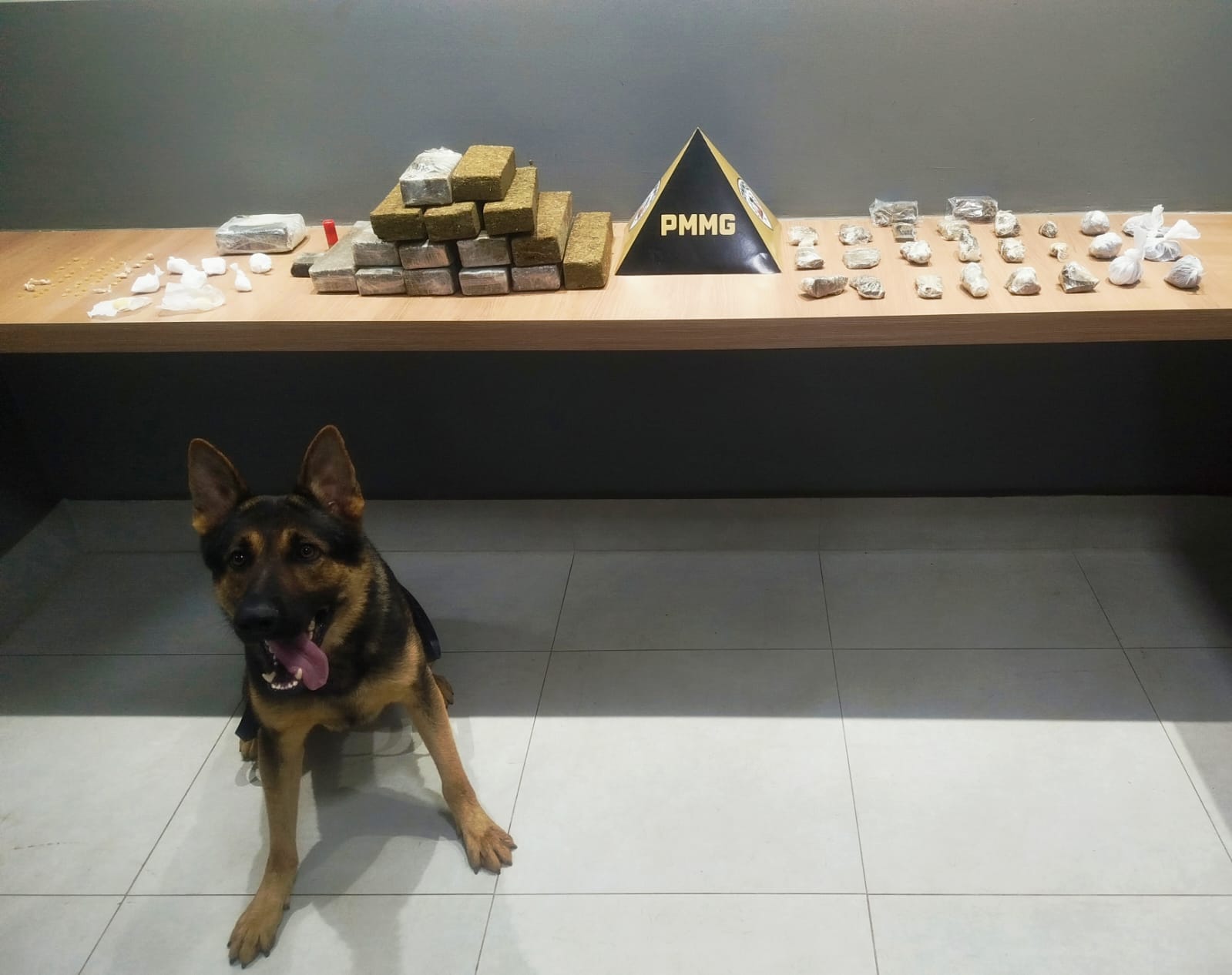 Polícia Militar apreende grande quantidade de drogas em Manhuaçu