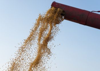 Agro cresce 11,7%, impulsiona PIB e ganha participação na economia