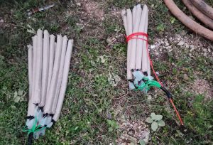 Polícia Militar de Meio Ambiente encontra 34 explosivos artesanais em propriedade rural de Conselheiro Pena