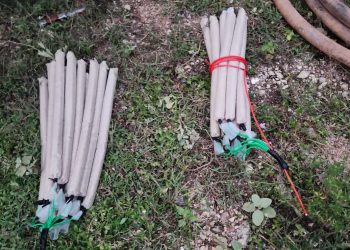 Polícia Militar de Meio Ambiente encontra 34 explosivos artesanais em propriedade rural de Conselheiro Pena