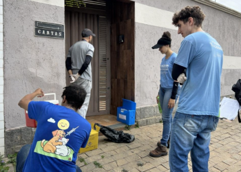 Morcego com raiva é identificado em Timóteo e Vigilância em Saúde realiza bloqueio vacinal em animais