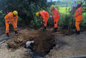 Bombeiros resgatam boi que caiu em fossa na zona rural de Araçuaí