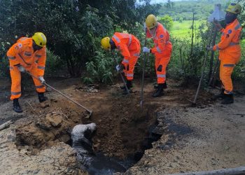 Bombeiros resgatam boi que caiu em fossa na zona rural de Araçuaí