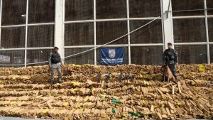 Polícia Militar do Rio de Janeiro realiza operação histórica e apreende 48 toneladas de maconha