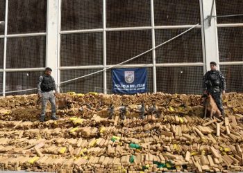 Polícia Militar do Rio de Janeiro realiza operação histórica e apreende 48 toneladas de maconha
