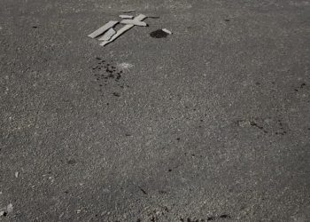 Ataque de pitbull deixa mãe e criança de um ano feridas no bairro Vitória