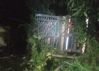 Caminhão perde freio, desce ribanceira e cai em quintal de residência no Distrito Industrial