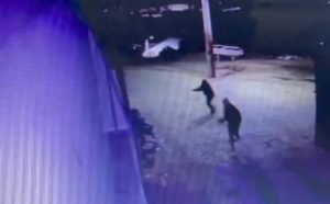 Adolescente é baleado em tentativa de homicídio em Aimorés