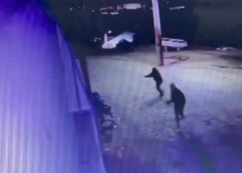 Adolescente é baleado em tentativa de homicídio em Aimorés