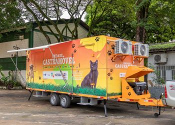 Ipatinga celebra três anos de programa de castração com cerca de 8 mil animais atendidos