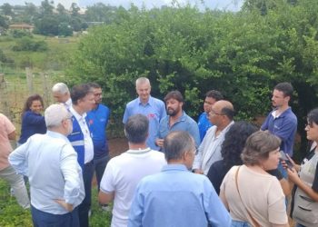 O potencial da vitivinicultura de inverno em MG