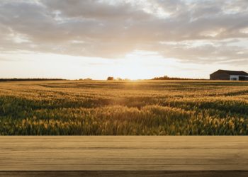 Live debate abuso patrimonial no agro e alerta para conflitos familiares no campo