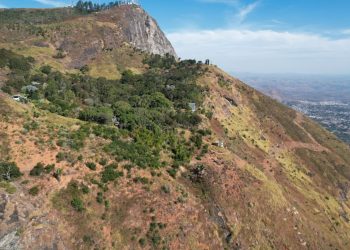 Dia de Campo apresenta ações de recuperação florestal em área do Pico da Ibituruna