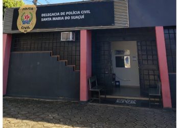 Polícia Civil indicia homem por matar cachorro após agressão em Santa Maria do Suaçuí