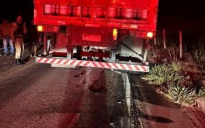 Motociclista morre em grave acidente envolvendo carro e caminhão na BR-259 em Galiléia