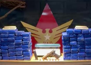 PM apreende 92 barras de maconha, arma e munições em Manhuaçu