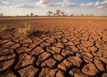 Café Rural debate impactos climáticos e sustentabilidade no campo 