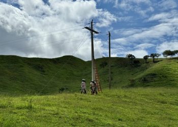 Eletrificação rural recebe investimentos