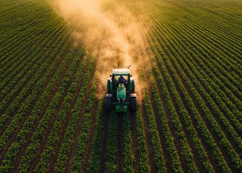 PIB do agronegócio alcança R$ 279 bilhões e bate recorde histórico em Minas Gerais