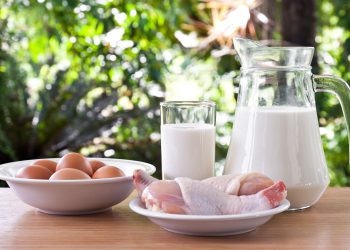 Produtores de Ipatinga recebem orientação gratuita para regularizar produção de alimentos de origem animal