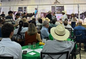 Leilão Excelência do Corte realiza 29ª edição neste domingo na ExpoAgro GV