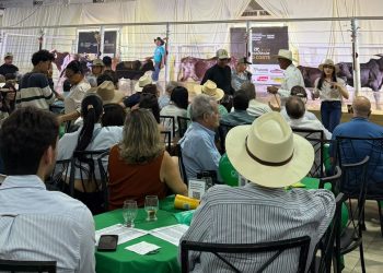 Leilão Excelência do Corte realiza 29ª edição neste domingo na ExpoAgro GV