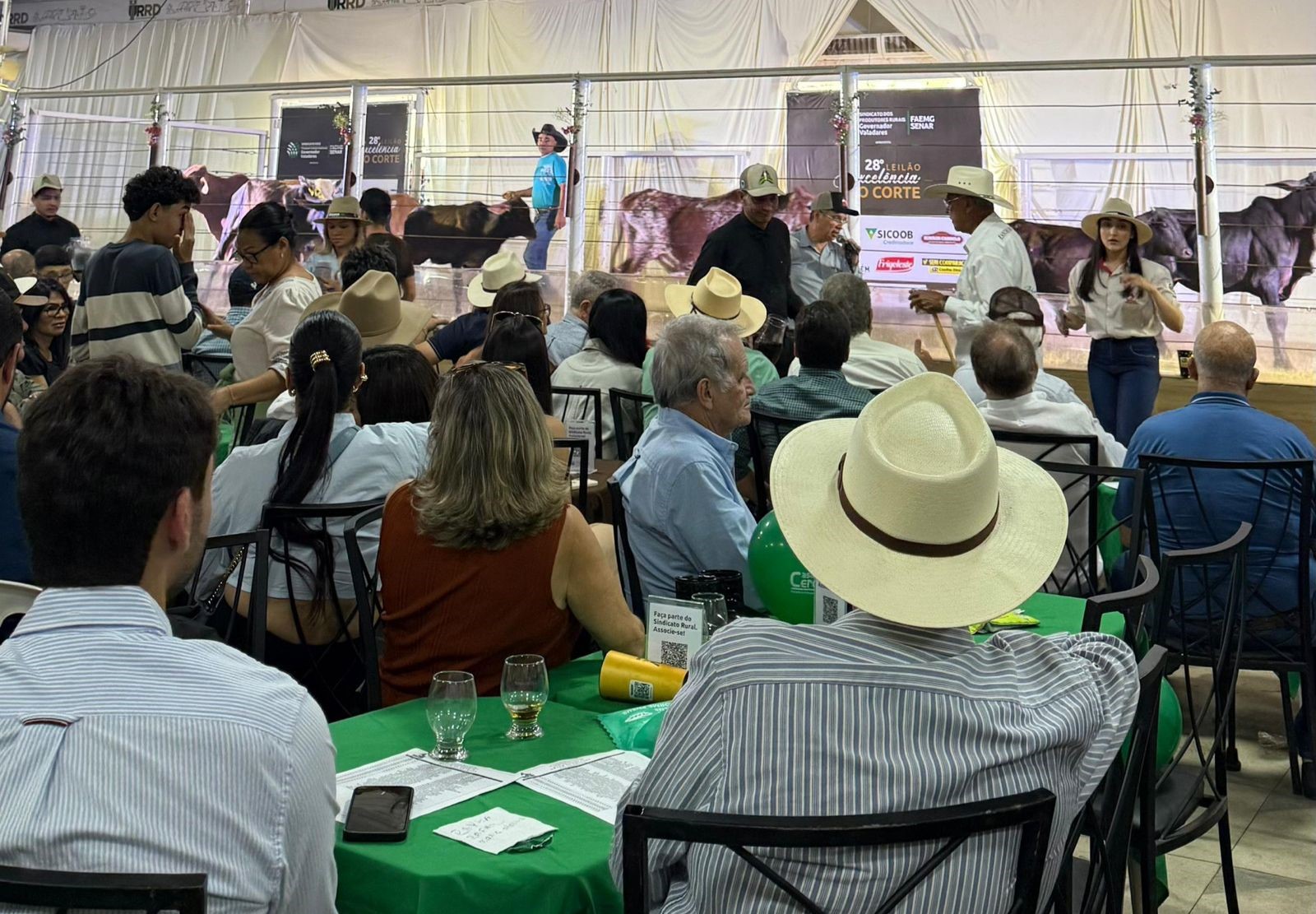 Leilão Excelência do Corte realiza 29ª edição neste domingo na ExpoAgro GV