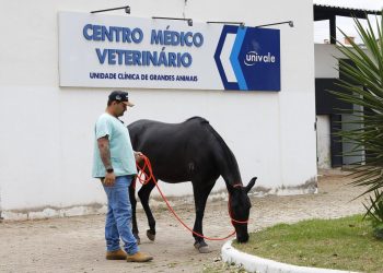 Hospital Veterinário da Univale atenderá os animais durante a 55ª Expoagro