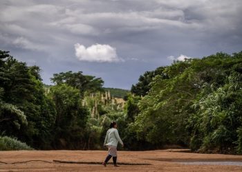 Governo lança edital de R$ 97,8 milhões para implantação de florestas produtivas com barraginhas na Bacia do Rio Doce 