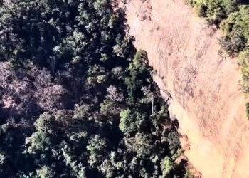 Operação de resgate de corpo de jovem morta segue em área de mata na zona rural de Inhapim