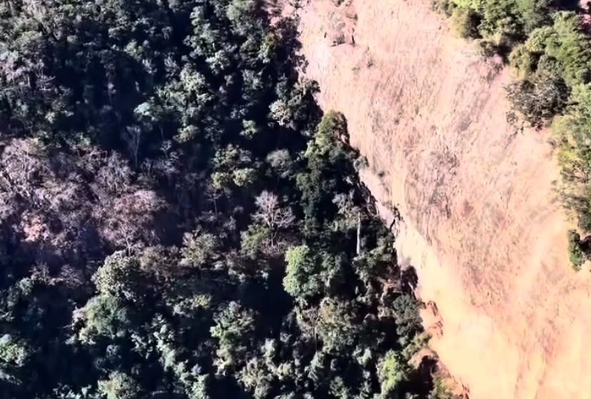 Operação de resgate de corpo de jovem morta segue em área de mata na zona rural de Inhapim