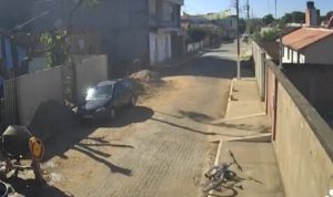 Idosos são atacados por enxame de abelhas dentro de casa em Galiléia