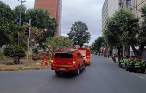 Carro bate em árvore, capota em praça no Centro de Valadares e motorista foge