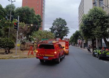 Carro bate em árvore, capota em praça no Centro de Valadares e motorista foge