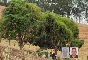 Dois homens são mortos a tiros após discussão por causa de poda de árvore em São Domingos das Dores