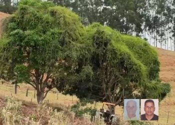 Dois homens são mortos a tiros após discussão por causa de poda de árvore em São Domingos das Dores