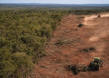Operação investiga desmatamento do Norte
