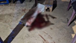 Ataque a tiros deixa homem ferido no distrito de São Geraldo de Tumiritinga