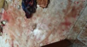 Homem é preso suspeito de tentar matar companheira com golpes de facão em Alvarenga