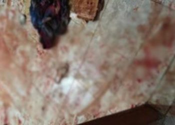 Homem é preso suspeito de tentar matar companheira com golpes de facão em Alvarenga