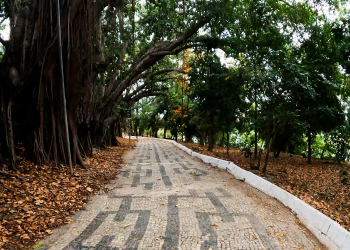 ‘Calçadão da Ilha’ é convite para caminhar, contemplar a natureza e respirar Valadares