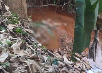 Homem é morto a tiros durante discussão com ex-companheira e familiares dela no distrito de Vila Nova Florestav