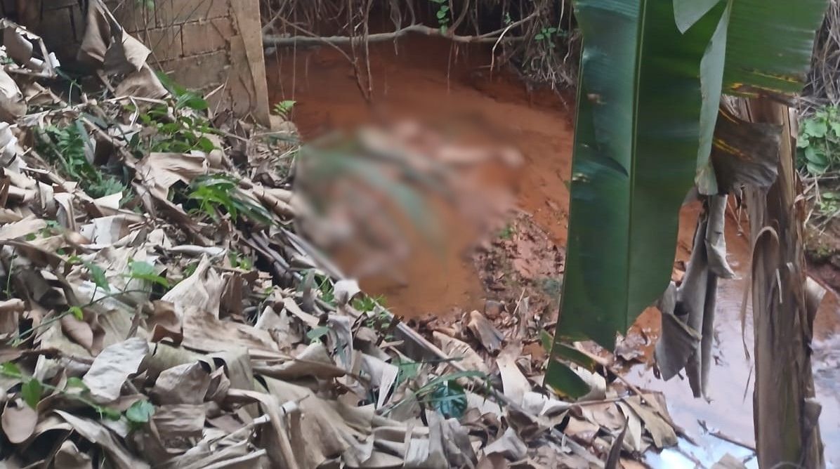 Homem é morto a tiros durante discussão com ex-companheira e familiares dela no distrito de Vila Nova Florestav