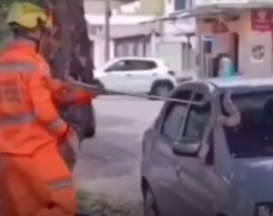 Jiboia é capturada no teto de carro estacionado e chama atenção no Jardim Vera Cruz