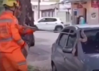 Jiboia é capturada no teto de carro estacionado e chama atenção no Jardim Vera Cruz