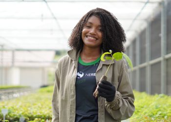 Jovens podem se inscrever para curso gratuito de restauração ambiental do Instituto Terra