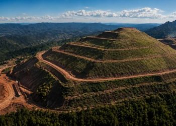 Gestão ambiental nos municípios será tema de encontro promovido pela AMIG Brasil