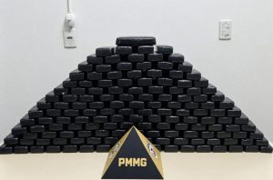 PM apreende 147 barras de maconha escondidas em área de mata em Belo Oriente