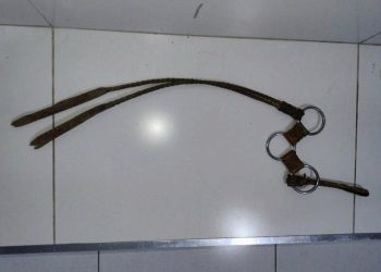 Homem é preso após agredir o pai com chicote e ameaçar a avó em Mendes Pimentel
