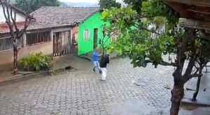 Idoso de 87 anos é agredido a pauladas e suspeito é preso em Marilac